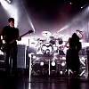 amyleefans13741.png