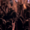 amyleefans14311.png