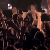 amyleefans14341.png
