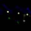 amyleefans15901.png