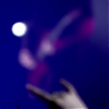 amyleefans16021.png