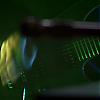 amyleefans16741.png