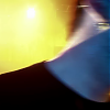 amyleefans16981.png