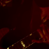 amyleefans17311.png
