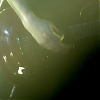 amyleefans17791.png