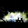 amyleefans18211.png