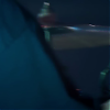 amyleefans19051.png