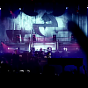 amyleefans19111.png