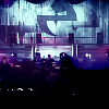 amyleefans19171.png
