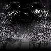 amyleefans20131.png