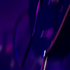 amyleefans20641.png