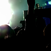 amyleefans20731.png
