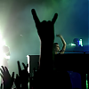 amyleefans20791.png