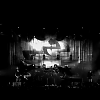 amyleefans20881.png
