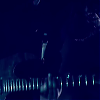 amyleefans20911.png