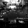 amyleefans21241.png