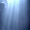 amyleefans22531.png