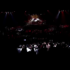 amyleefans24211.png