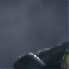 amyleefans24781.png