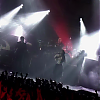 amyleefans24901.png