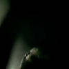 amyleefans25111.png