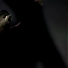 amyleefans25171.png