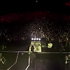 amyleefans25411.png