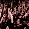amyleefans26251.png
