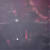amyleefans26521.png