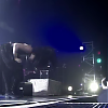amyleefans27451.png