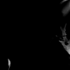 amyleefans28471.png