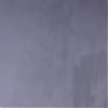 amyleefans28891.png