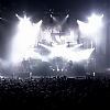 amyleefans29011.png