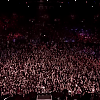 amyleefans29251.png