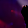 amyleefans31651.png