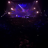 amyleefans31771.png