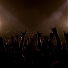 amyleefans32011.png