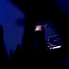 amyleefans33241.png