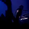 amyleefans33271.png