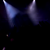 amyleefans33541.png