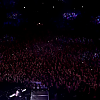 amyleefans33601.png