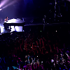 amyleefans33991.png
