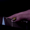 amyleefans34111.png