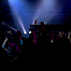 amyleefans34171.png