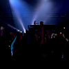 amyleefans34231.png
