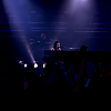 amyleefans35491.png