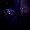 amyleefans35941.png
