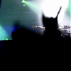 amyleefans36211.png