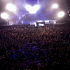 amyleefans36781.png