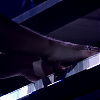 amyleefans36961.png
